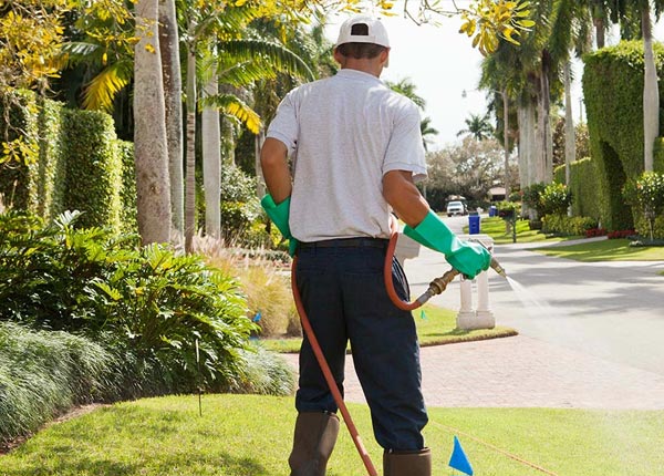 About Collyer KS Pest Control